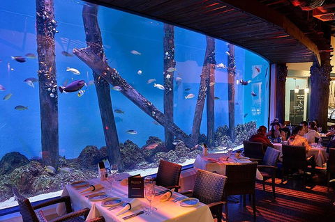 Cairns Aquarium And Small Group City Sightseeing Tour - Hotel NSW 4