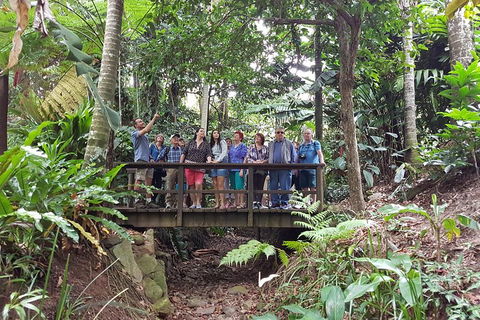 Cairns Shore Excursion: Cairns City Sights & Surrounds Tour - Hotel NSW 1
