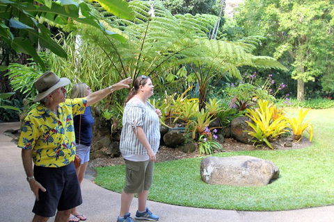 Cairns Shore Excursion: Cairns City Sights & Surrounds Tour - Hotel NSW 4