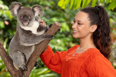 Kuranda Wildlife Experience Three Attraction Pass - Hotel NSW 4