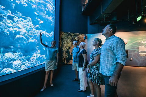 Cairns Aquarium By Twilight With 3-Course Dinner - Hotel NSW 1
