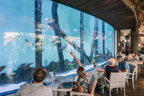 Cairns Aquarium By Twilight With 3-Course Dinner - Hotel NSW 4