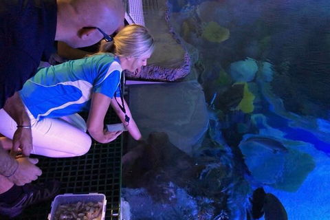 Cairns Aquarium Marine Life Encounter Ticket With 2-Course Lunch - Hotel NSW 2