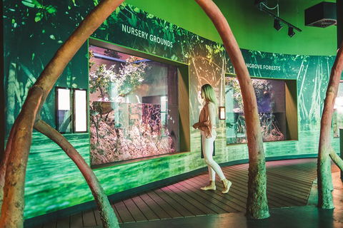 Cairns Aquarium Marine Life Encounter Ticket With 2-Course Lunch - Hotel NSW 3