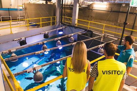 Cairns Aquarium Marine Life Encounter Ticket With 2-Course Lunch - Hotel NSW 5