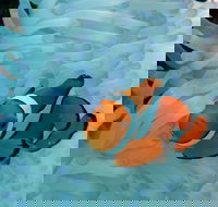 Seastar Luxury Outer Great Barrier Reef Island and Reef Tour from Cairns - Hotel NSW