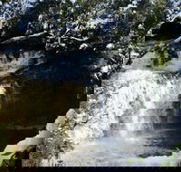 Cradle Mountain Day Tour from Launceston Including Lunch - Hotel NSW