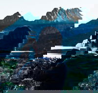 Cradle Mountain Park Explorer Guided Tour - Hotel NSW