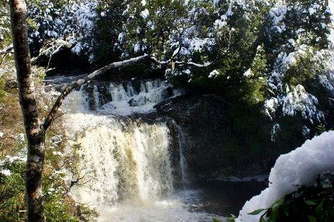Cradle Mountain Park Explorer Guided Tour - Hotel NSW 4