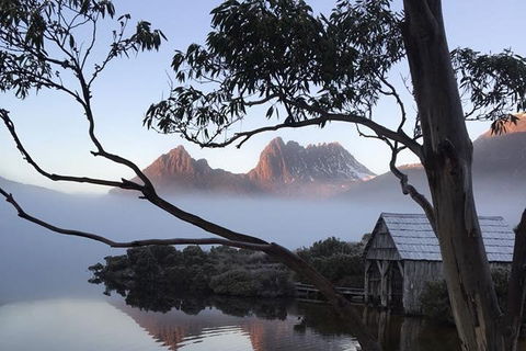 Cradle Mountain Park Explorer Guided Tour - Hotel NSW 5