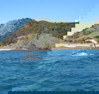 Kayaking with Dolphins in Byron Bay Guided Tour - Hotel NSW