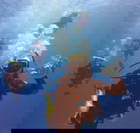 12-Day Great Barrier Reef Marine Conservation Program from Cairns - Hotel NSW