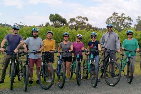 McLaren Vale Wine Tour By Bike - Hotel NSW 4