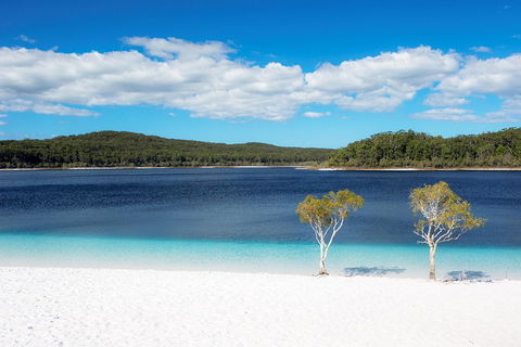 All-Inclusive Fraser Island Day Tour - Hotel NSW 3