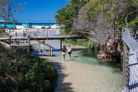 All-Inclusive Fraser Island Day Tour - Hotel NSW 4