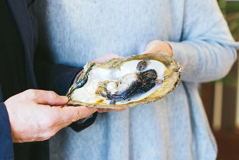 Half-Day Willie Creek Pearl Farm Tour With Helicopter Flight - Hotel NSW 3