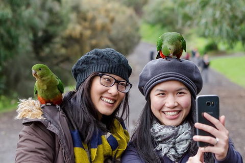 Small-Group Great Ocean Road And 12 Apostles Full-Day Tour From Melbourne - Hotel NSW 0