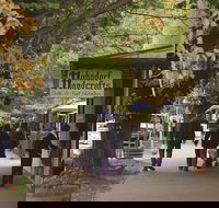 Adelaide Highlights Hahndorf  McLaren Vale Wine Tasting and Sightseeing Tour - Hotel NSW