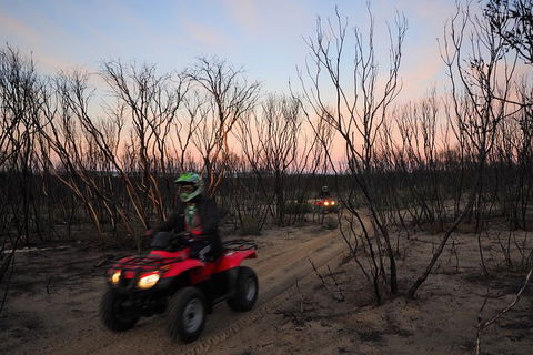 Kangaroo Island Quad Bike (ATV) Tours - Hotel NSW 1