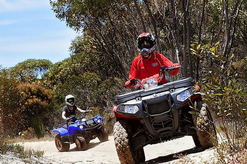 Kangaroo Island Quad Bike (ATV) Tours - Hotel NSW 5