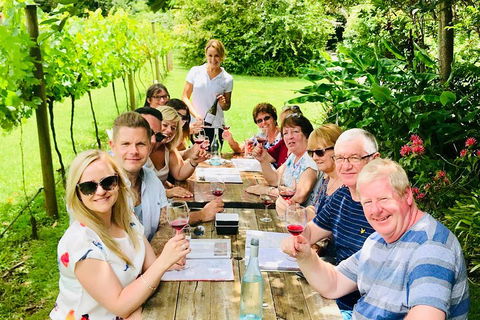 Mount Tamborine Wine Tasting Tour From Brisbane Or The Gold Coast - Hotel NSW 5