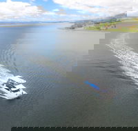 2.5 hour Afternoon Discovery Cruise including Cataract Gorge departs at 1 30 pm - Hotel NSW