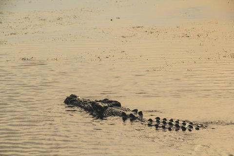 Yellow Water Cruise - Kakadu - Hotel NSW 2