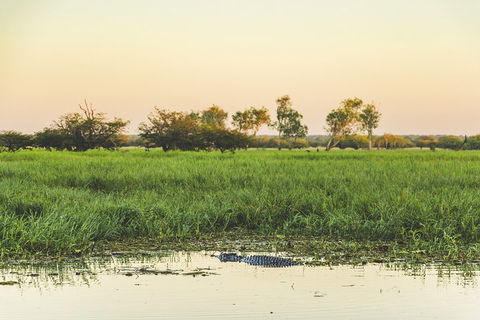 Yellow Water Cruise - Kakadu - Hotel NSW 3