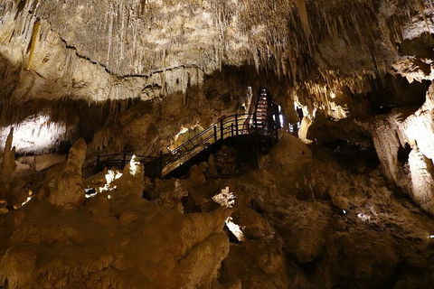 Ngilgi Cave Semi-guided Tour - Hotel NSW 2