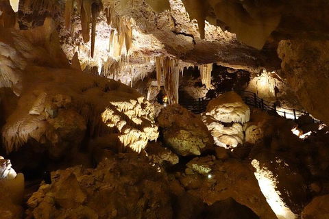 Ngilgi Cave Semi-guided Tour - Hotel NSW 3