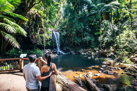 Aquaduck & Your Choice Of Gold Coast Rainforest Tour - Hotel NSW 0