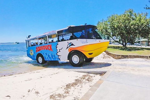 Aquaduck & Your Choice Of Gold Coast Rainforest Tour - Hotel NSW 1