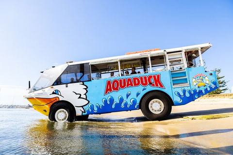 Aquaduck & Your Choice Of Gold Coast Rainforest Tour - Hotel NSW 3