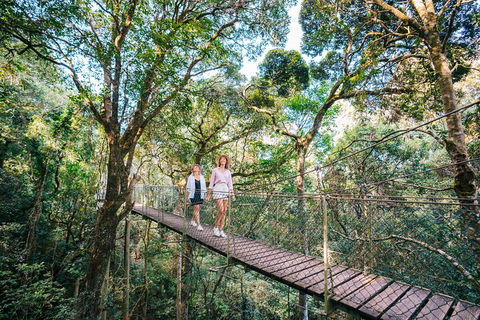 Aquaduck & Your Choice Of Gold Coast Rainforest Tour - Hotel NSW 4
