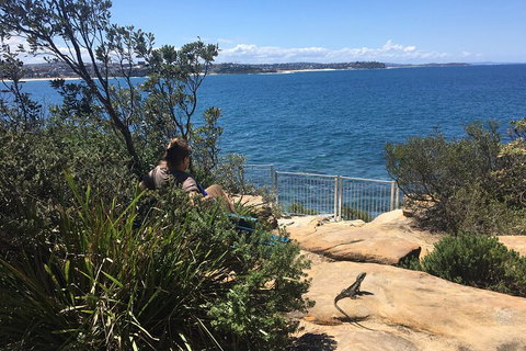 Manly Snorkel Trip And Nature Walk With Local Guide - Hotel NSW 4