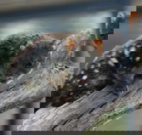 Sunset Experience - Hotel NSW