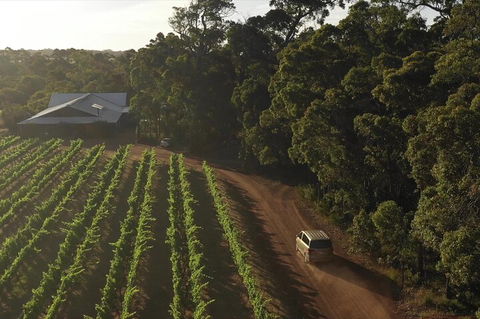 The All About Margaret River Tour: Wine, Coffee, Lunch And Forest - Hotel NSW 1