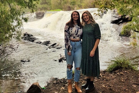 The All About Margaret River Tour: Wine, Coffee, Lunch And Forest - Hotel NSW 2