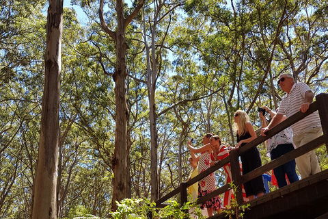 The All About Margaret River Tour: Wine, Coffee, Lunch And Forest - Hotel NSW 3