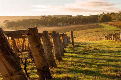 The All About Margaret River Tour: Wine, Coffee, Lunch And Forest - Hotel NSW 5