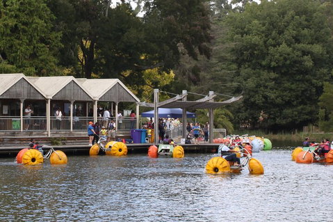 Yarra Valley, Dandenong Ranges Inc. Lunch With Wine,plus Morning Tea,chocolate - Hotel NSW 1