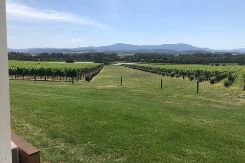Yarra Valley, Dandenong Ranges Inc. Lunch With Wine,plus Morning Tea,chocolate - Hotel NSW 3