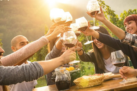 Yarra Valley, Dandenong Ranges Inc. Lunch With Wine,plus Morning Tea,chocolate - Hotel NSW 4