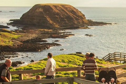 Healesville Sanctuary And Phillip Island Wildlife Bus Tour - Hotel NSW 3