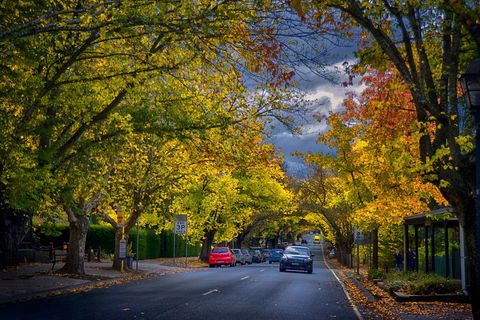 Small Group Adelaide Hills And Hahndorf Hideaway Tour From Adelaide - Hotel NSW 1