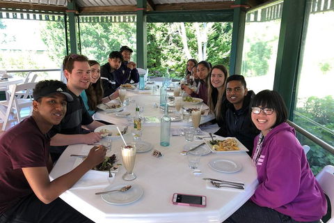 Natural Bridge, Skywalk And Mt Tamborine Adventure! - Hotel NSW 0