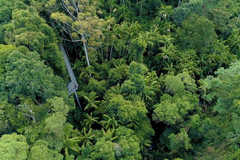 Natural Bridge, Skywalk And Mt Tamborine Adventure! - Hotel NSW 2