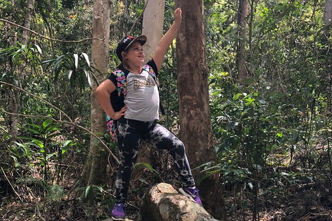 Natural Bridge, Skywalk And Mt Tamborine Adventure! - Hotel NSW 3