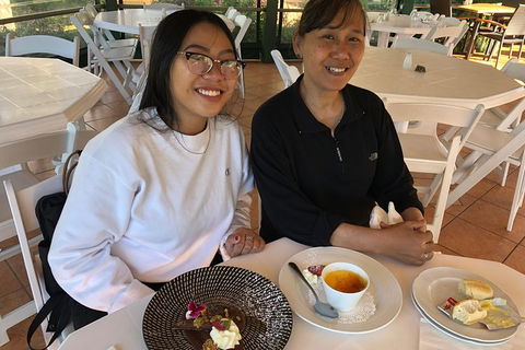 Natural Bridge, Skywalk And Mt Tamborine Adventure! - Hotel NSW 5