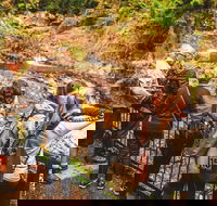 Full-day Springbrook National Park Tour from the Gold Coast - Hotel NSW